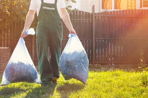 Best Basement Cleanout  in Seeley, CA